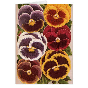 Vintage Seed Packet Labels, Garden Pansy Flowers Cards