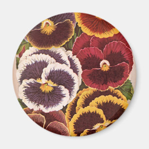 Vintage Seed Packet Labels, Garden Pansy Flowers Magnet