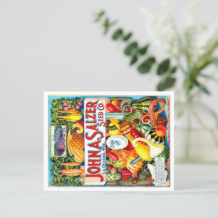Vintage Seed Packet. Postcard