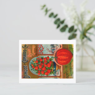 Vintage Seed Packet Postcard. Postcard