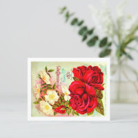 Vintage Seed Packet Postcards.