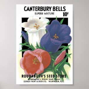 Vintage Seed Packet Poster