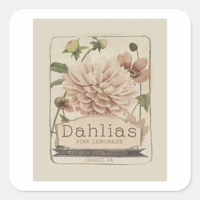 Vintage Seed Packets Iv Square Sticker (Front)
