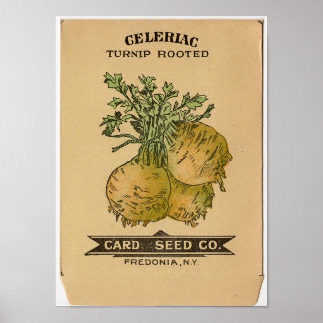 Vintage Seed Packets Poster (Front)