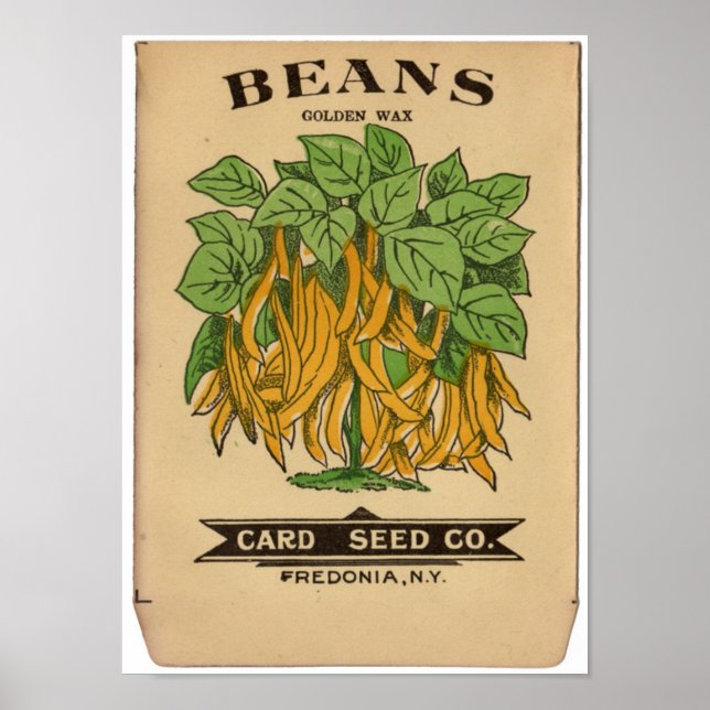 Vintage Seed Packets Poster (Front)