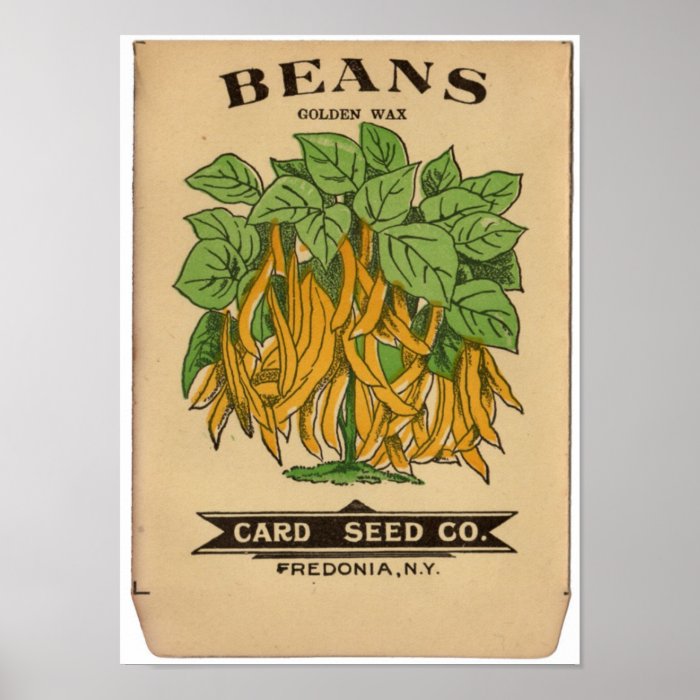 Vintage Seed Packets Poster