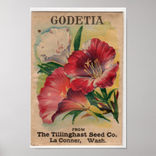 Vintage Seed Packets Poster