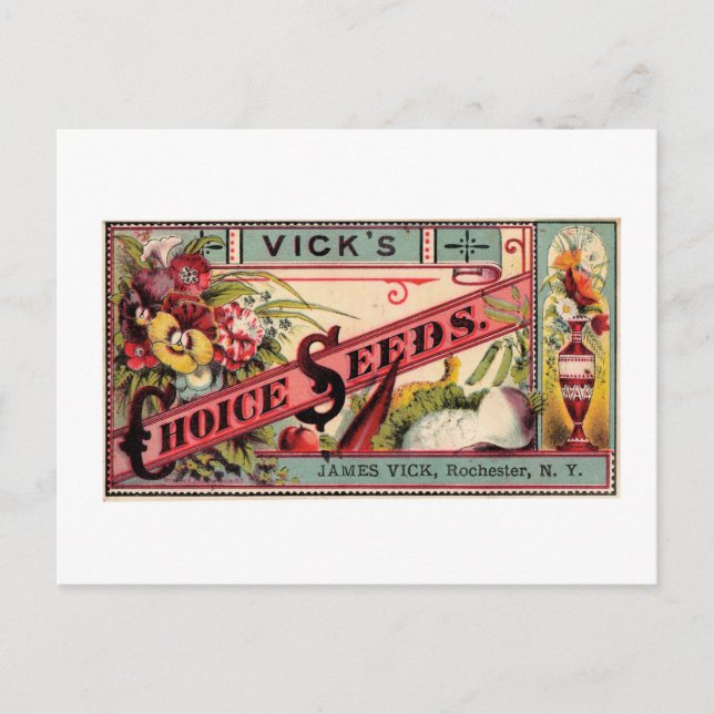 Vintage Seeds Ad Postcard (Front)