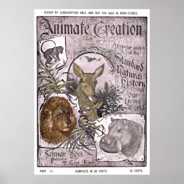 "Vintage-Selmar Hess -1898-Animate Creation" Poster (Front)