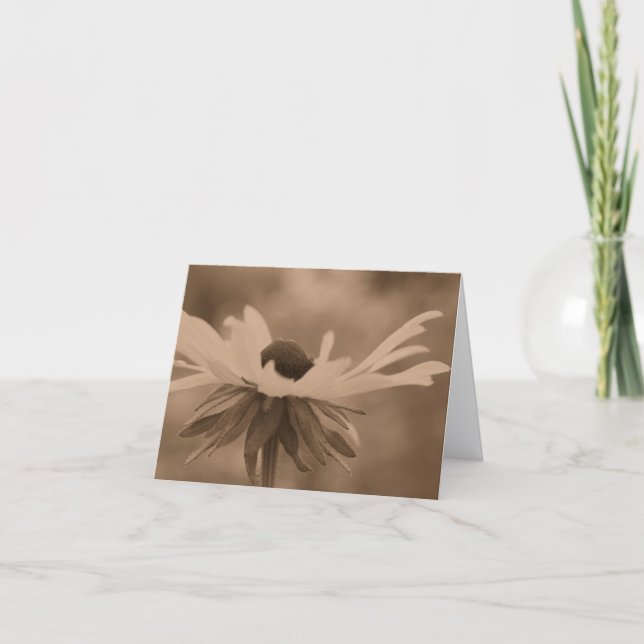 Vintage Sepia Black Eyed Susan Flower Note  Card (Front)