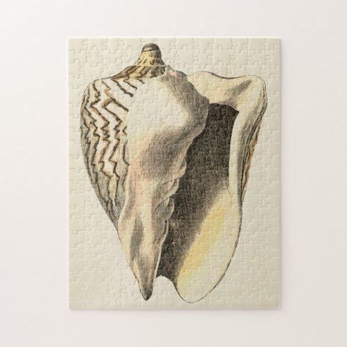 Vintage Sepia Conch Shell Jigsaw Puzzle