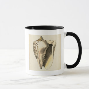 Vintage Sepia Conch Shell Mug