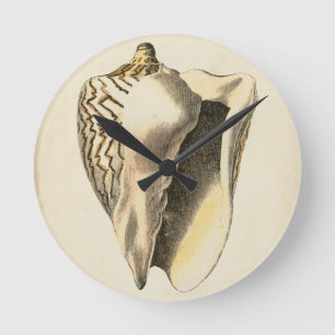 Vintage Sepia Conch Shell Round Clock