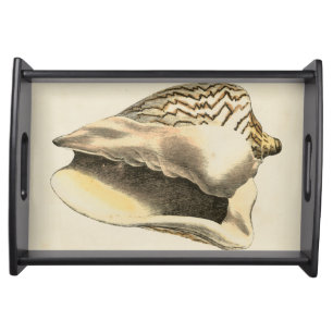 Vintage Sepia Conch Shell Serving Tray