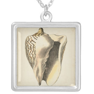 Vintage Sepia Conch Shell Silver Plated Necklace