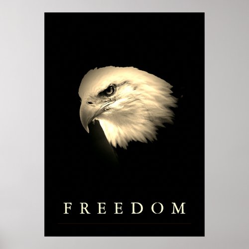 Vintage Sepia Freedom American Eagle Patriotic Poster