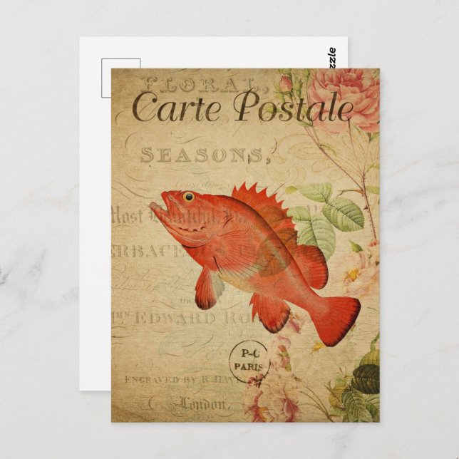 Vintage Sepia Orange Goldfish Postcard (Front/Back)
