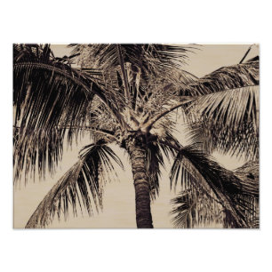 Vintage Sepia Retro Hawaiian Palm Tree Template Photo Print