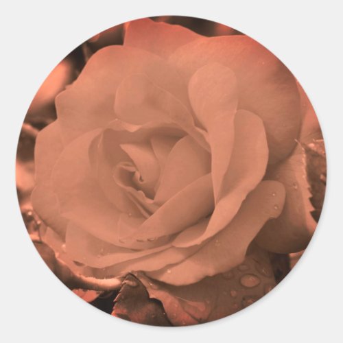 Vintage Sepia Rose Flower Classic Round Sticker