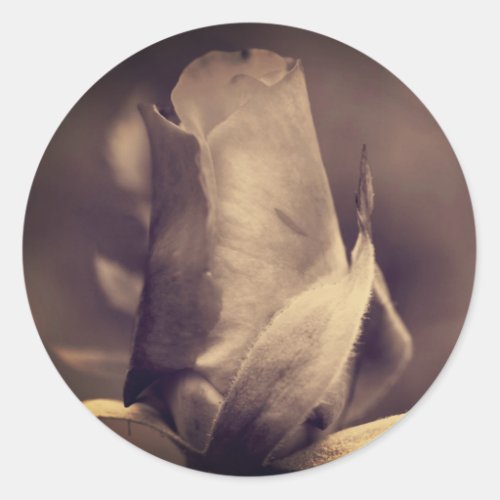 Vintage Sepia Rosebud Flower Classic Round Sticker