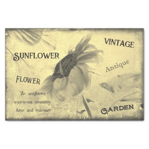 Vintage Sepia Tone Sunflower Ephemera Texture Tissue Paper