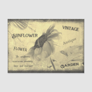 Vintage Sepia Tone Sunflower Ephemera Texture Tissue Paper