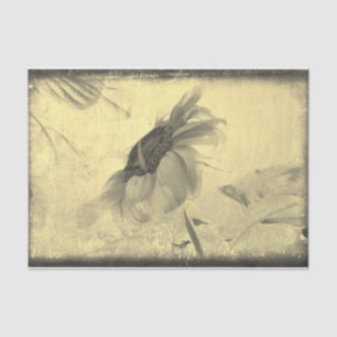 Vintage Sepia Tone Sunflower Grunge Texture Tissue Paper