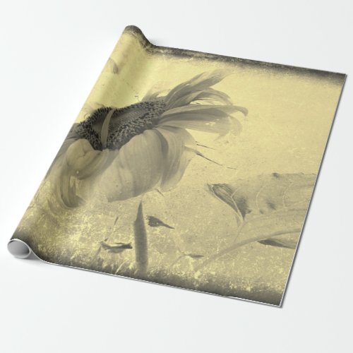 Vintage Sepia Tone Sunflower Grunge Texture Wrapping Paper