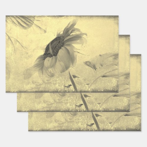 Vintage Sepia Tone Sunflower Grunge Texture Wrapping Paper Sheets