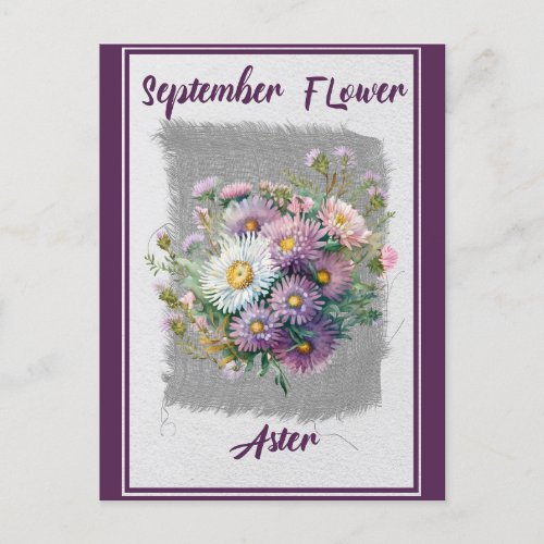 Vintage September Flower Aster Floral Postcard