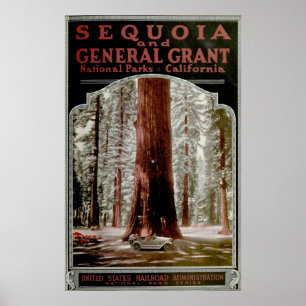 Vintage Sequoia National Park Illustrative Poster