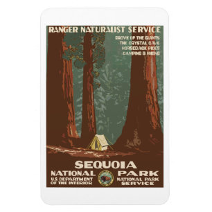 Vintage Sequoia Park CA, tourist travel poster, Magnet