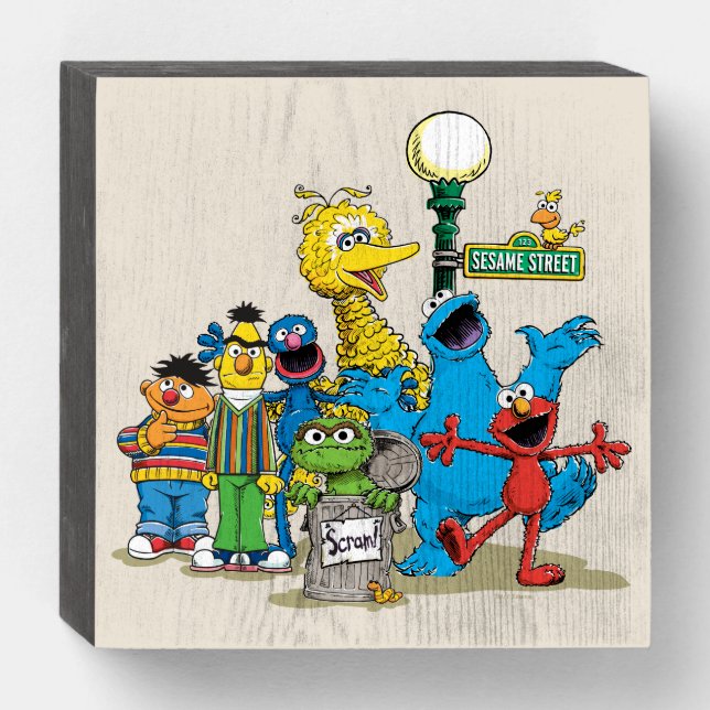 Vintage Sesame Street Pals Wooden Box Sign (Front Horizontal)