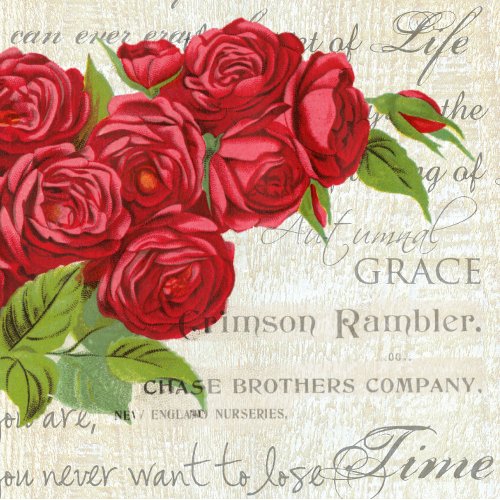 Vintage Shabby Chic Red Roses Antique Script     Business Card Case