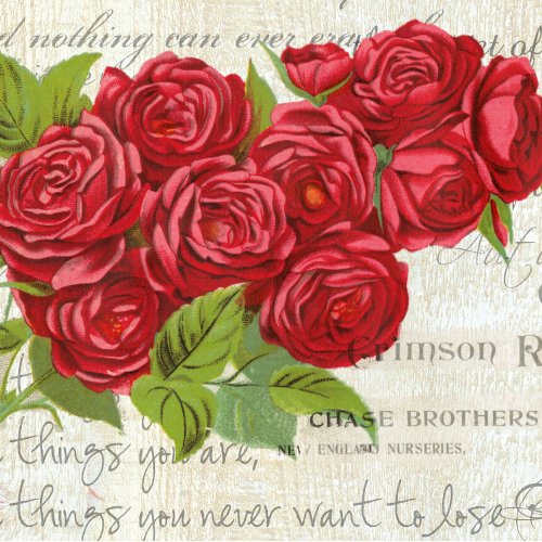 Vintage Shabby Chic Red Roses On Antique Script   iPhone 87 Wallet Case
