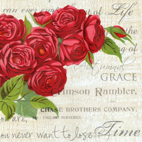 Vintage Shabby Chic Red Roses On Antique Script    Light Switch Cover