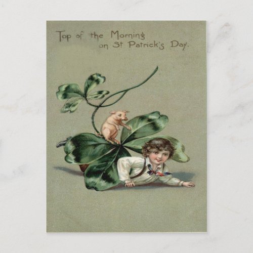 Vintage Shamrock Pig St Patricks Day Card