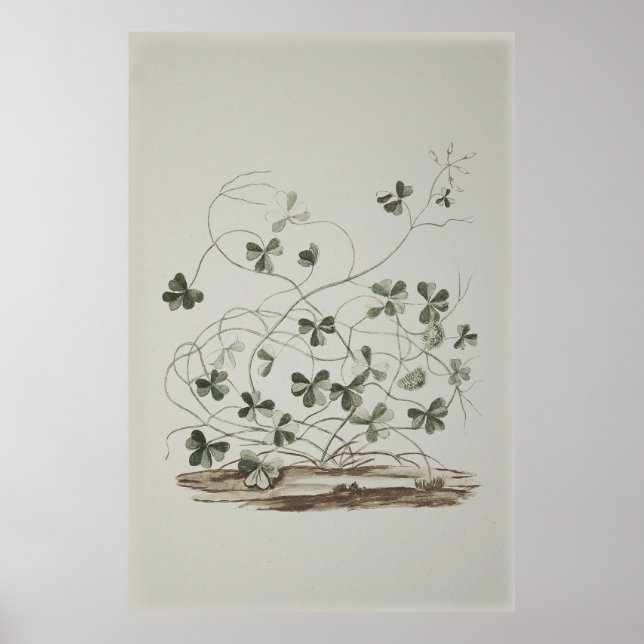 Vintage Shamrock Poster (Front)