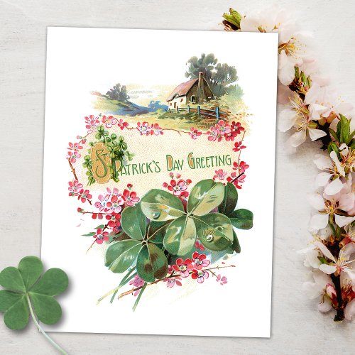 Vintage Shamrocks St Patricks Day Greetings Postcard