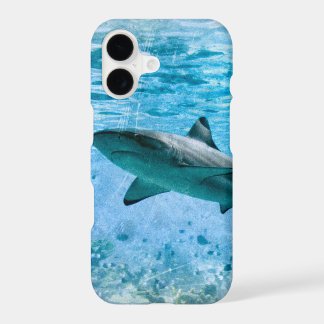 Vintage Shark Case