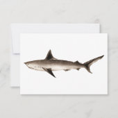 Vintage Shark Illustration - Retro Sharks Template (Front)