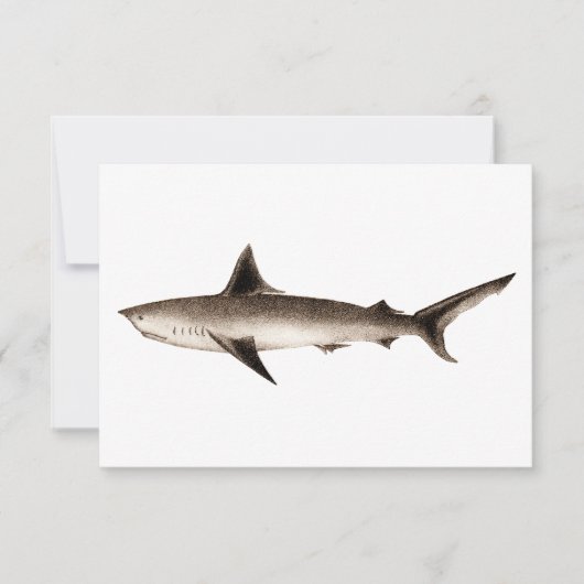 Vintage Shark Illustration - Retro Sharks Template (Front)