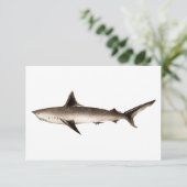Vintage Shark Illustration - Retro Sharks Template (Standing Front)