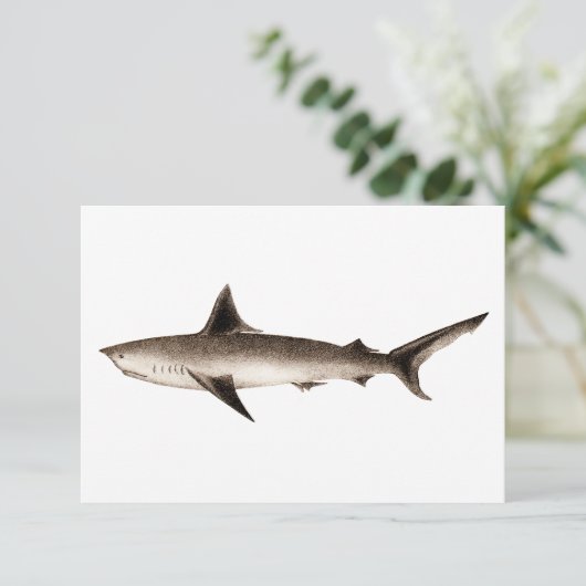 Vintage Shark Illustration - Retro Sharks Template (Standing Front)