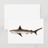 Vintage Shark Illustration - Retro Sharks Template (Front/Back)