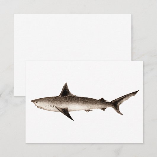 Vintage Shark Illustration - Retro Sharks Template (Front/Back)