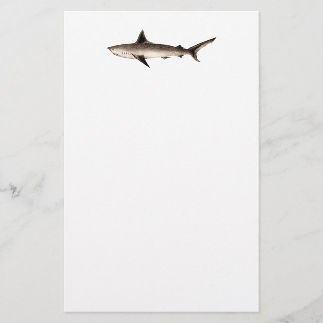Vintage Shark Illustration - Retro Sharks Template Stationery (Front)