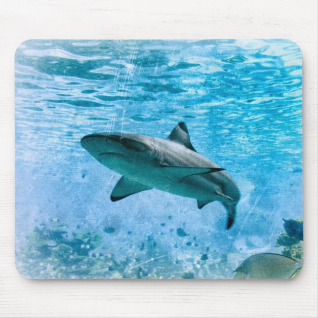 Vintage Shark Mousepad (Front)