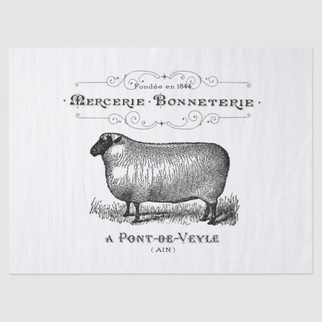 Vintage Sheep Ad Tissue Paper (Front)