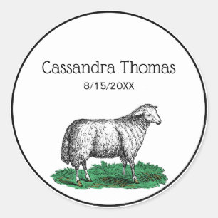 Vintage Sheep Ewe Farm Animals Drawing C Classic Round Sticker